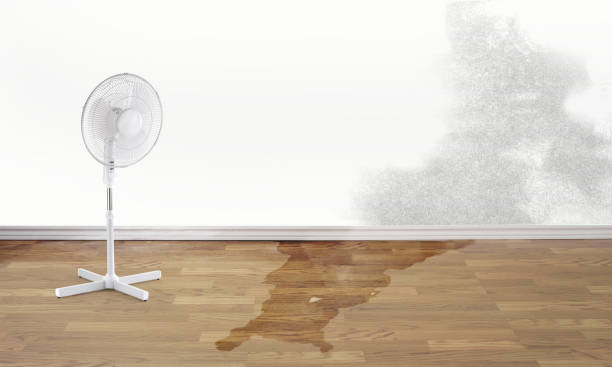 Best 24/7 water damage repair  in Poulsbo, WA
