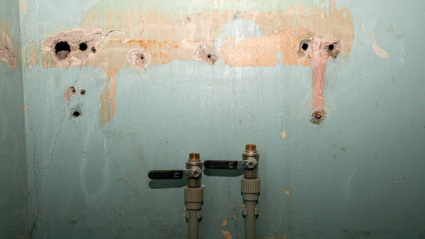 Best Emergency water damage restoration  in Poulsbo, WA