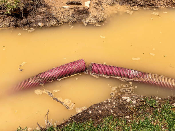 Best Residential water damage restoration  in Poulsbo, WA